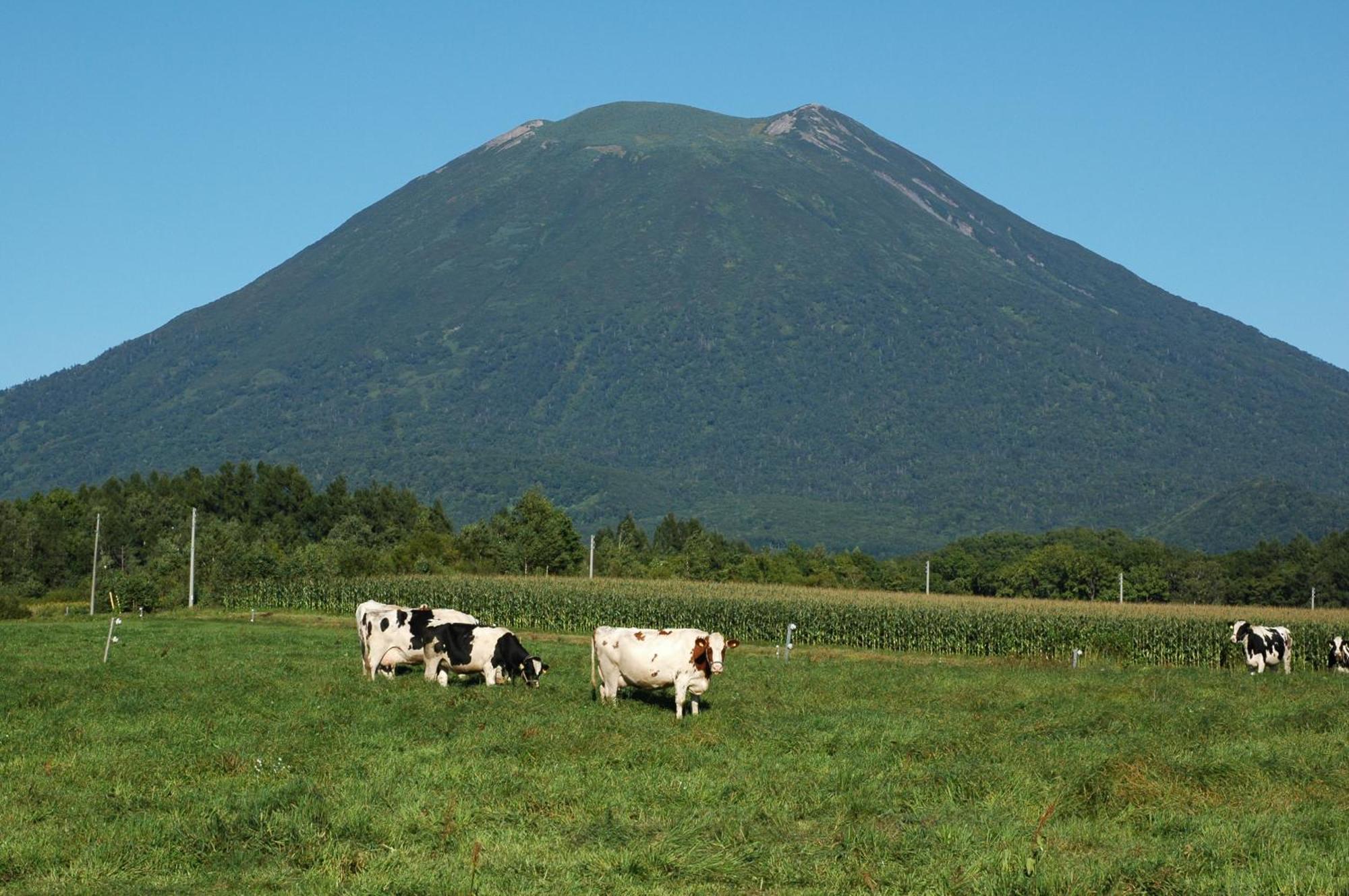 Niseko Highland Cottages Zewnętrze zdjęcie