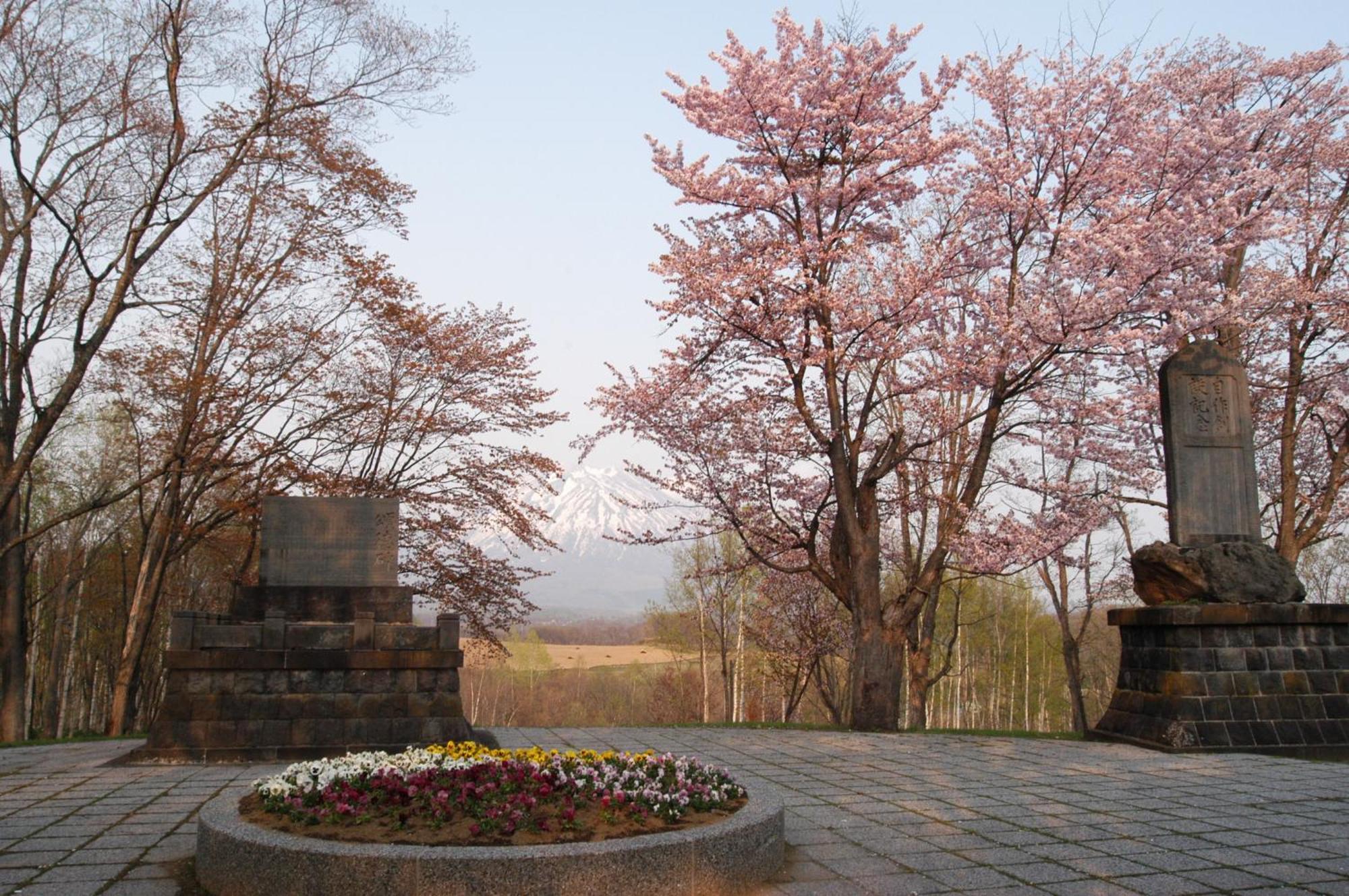 Niseko Highland Cottages Zewnętrze zdjęcie